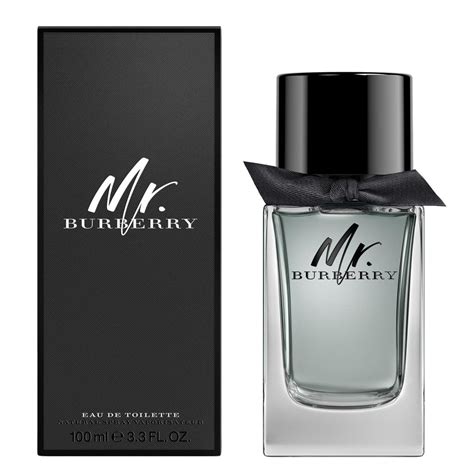 mr burberry mens perfume|Burberry 100ml for men.